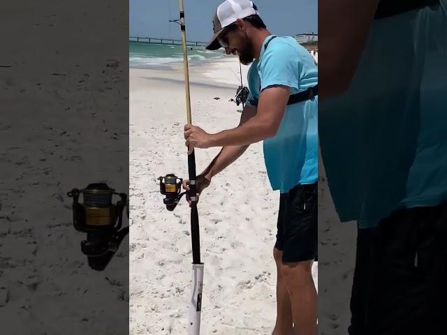 full video coming soon! #gulfcoast #saltwaterfishing #pompano #pennfishing #fishing #friskyfins