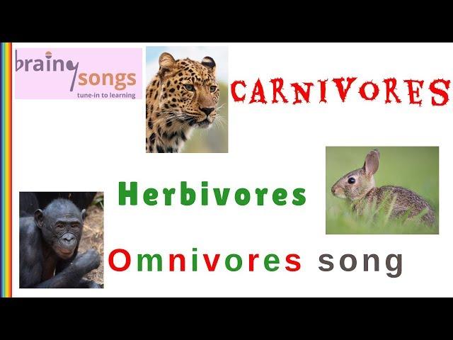 Carnivores Herbivores Omnivores Song | I'm an Omnivore