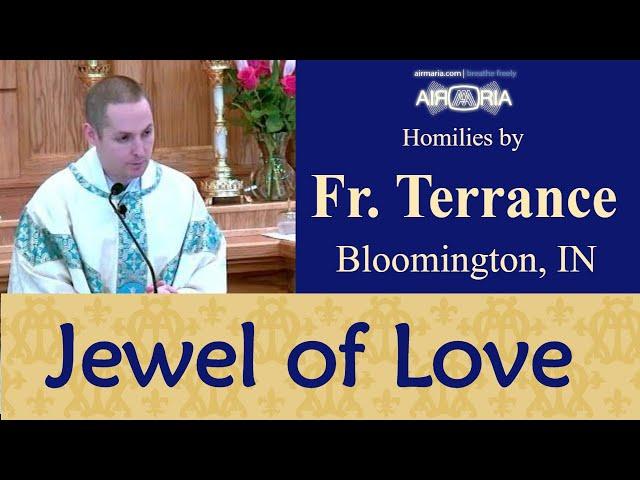 Feast of the Immaculate Heart of Mary - Jun 12 - Homily - Fr Terrance