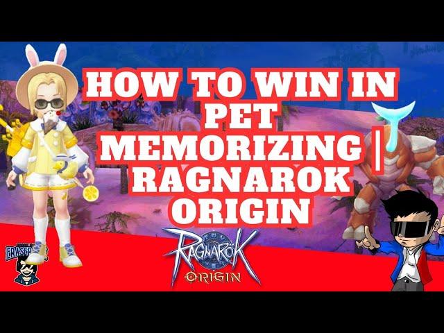 How to win in Pet Memorizing | Ragnarok Origin