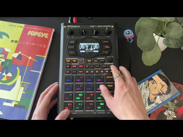 SP404 MKII DJ Mode | Live Lo-fi Deep House Set