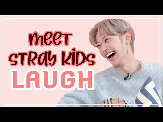 A Guide to Stray Kids Laugh (2020)