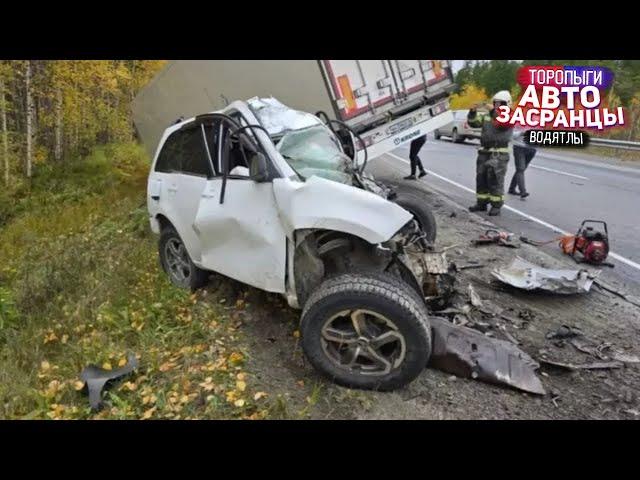 Нет, не видел! Сентябрянутые Торопыги и Водятлы ДТП