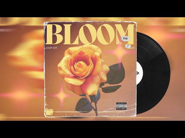 (ROYALTY FREE) Guitar Loop Kit 2024 - Bloom (Emotional, Juice Wrld, Kid LAROI)