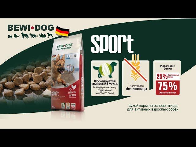 Bewi Dog Sport – немецкий сухой корм для активных собак