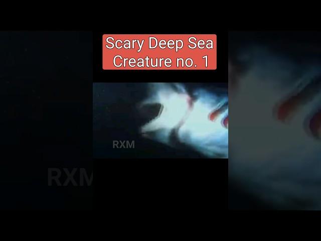 Scary Deep Sea creature #facts #trend #viral #shorts #trendingshorts #deepsea #factopiaRXM #news