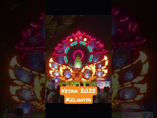 Vesak Celebrations #srilanka #vesaksrilanka #vesak2023 #kelaniya