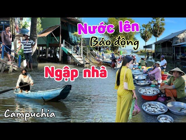 Nước Lũ đầu nguồn Campuchia lên cao đỉnh điểm - nguy cơ ngập lụt nhà biên giới chợ Tịnh Biên