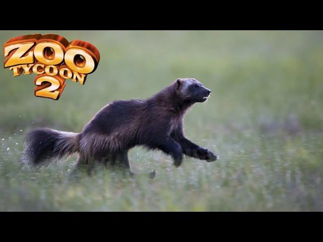 Wolverine Exhibit Speed Build - Zoo Tycoon 2