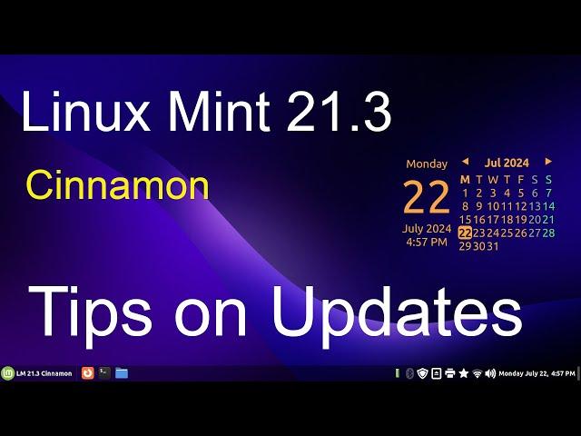 Linux Mint 21.3 - Cinnamon - Tips on Updates.