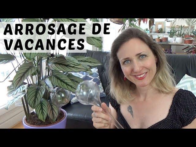  ARROSAGE DE VACANCES : UNE SOLUTION FACILE POUR LES PLANTES D'INTÉRIEUR AVEC L'AQUA CARE