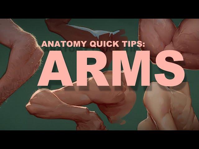 Anatomy Quick Tips: Arms