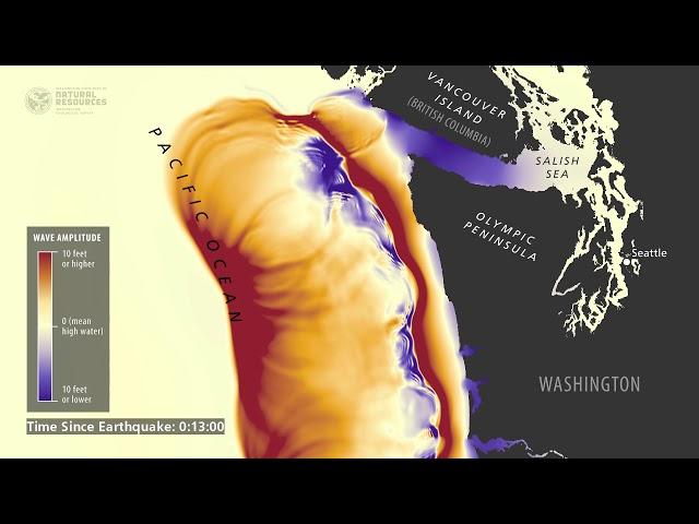 Tsunami wave simulation for Washington State
