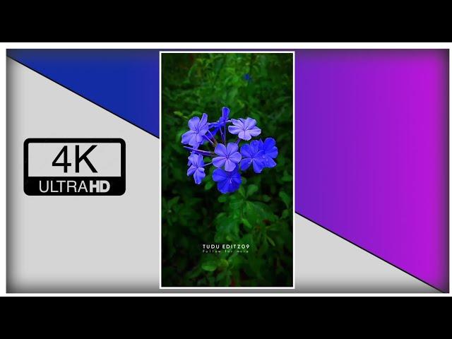 Santali Status Video 2023️| New Santali 4k Whatsapp Full Screen Status Video 2023 || RT CREATION