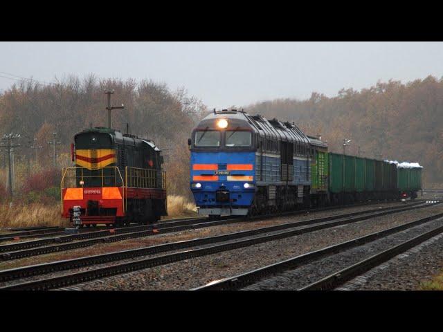 Train video. Freight trains - 53. Russia.