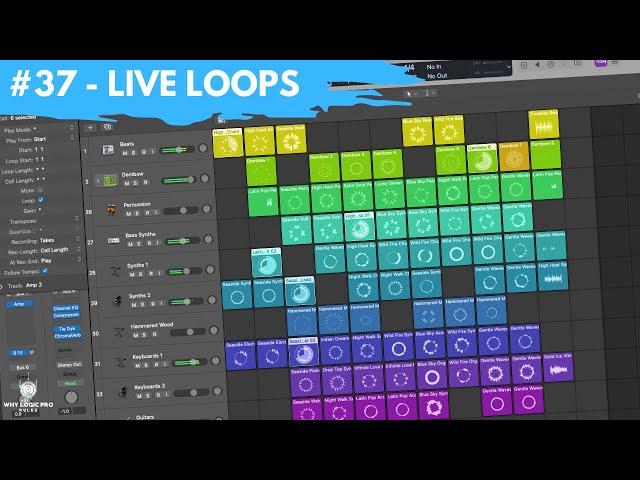 #37 - Live Loops - Your Ultimate Songwriting Sketchpad (Newbie to Ninja - Logic Pro Beginner Series)