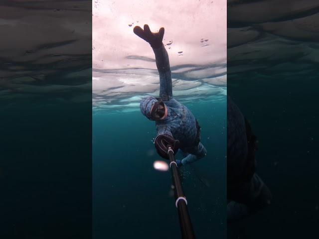 Inside a Shipwreck 100 ft below ice