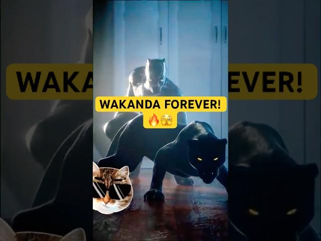 Black Panther Transition: Wakanda Forever - Mr.DragonLe #shorts #wakandaforever