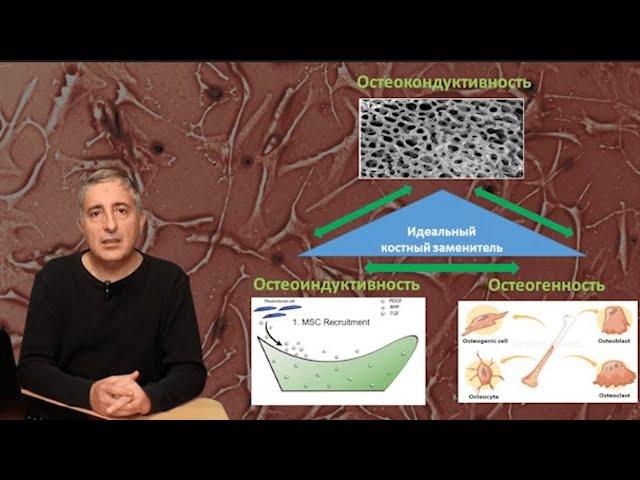 Направленная Костная Регенерация (НКР) Часть 2. Аутокостные трансплантаты