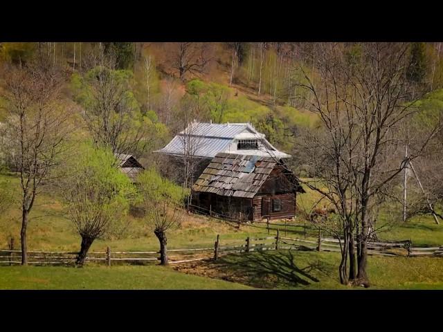 Beyond Civilization: Life Of a Close-knit Family at the Edge of the World