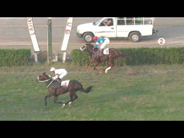 6th Race The Conflict Plate Distance 1000 Meters Winner Desert Crown ( Pakistan Horse Racing )