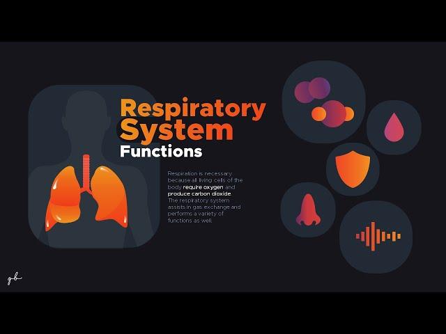 Mouse Over Action effect on PowerPoint | gbsining