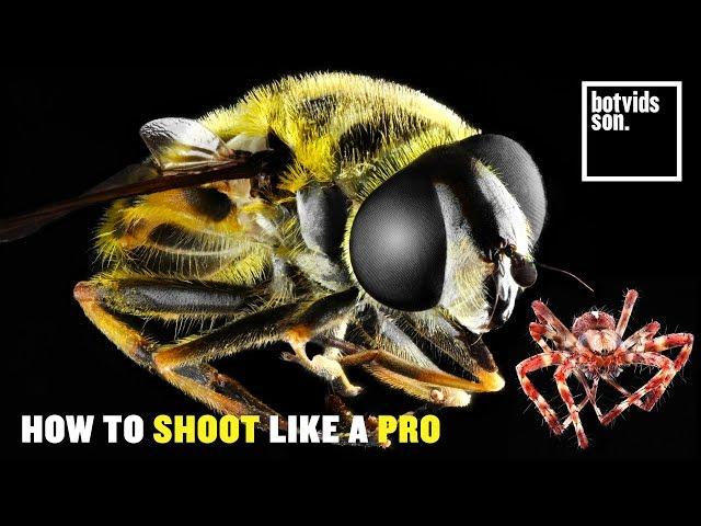 CRAZY Macro Photography | Focus Stacking With Motorized Rhino Slider