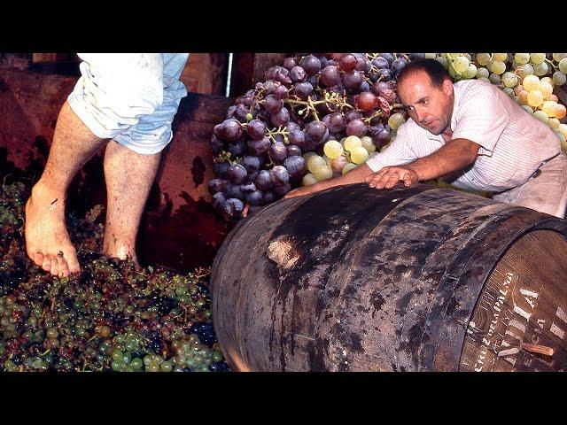 Tea wine and its curious resin flavor. This is vintage, the treading of the grapes and pressing