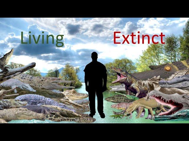 Crocodilians Size Comparison Living Extinct