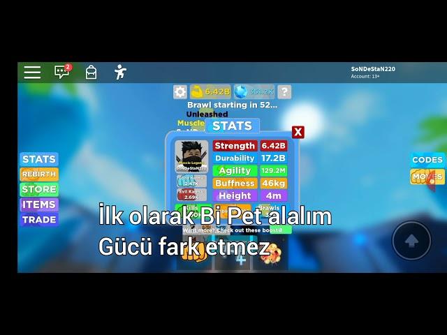 Roblox Muscle legends Pet Bugu nasıl yapılır? (SoNDeStaN220) 6B Strength 