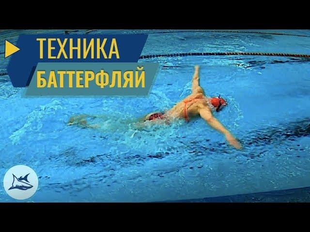 Баттерфляй. Разбор техники плавания. Сравнение с Олимпийской Чемпионкой