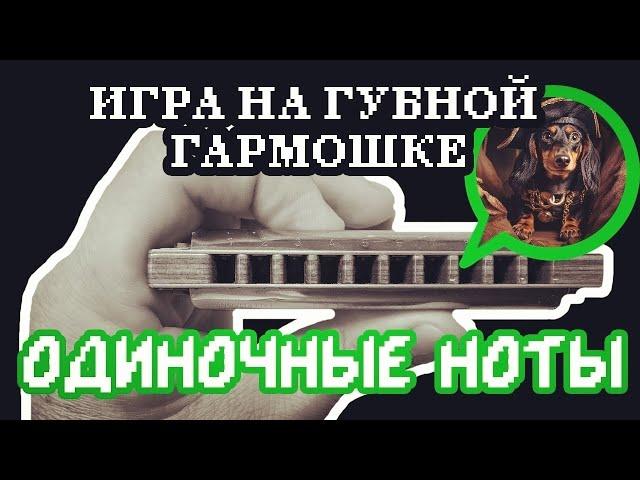 @Harpe..r Как попадать в одно отверстие на гармошке | How to play single notes on harmonica(ENG sub)