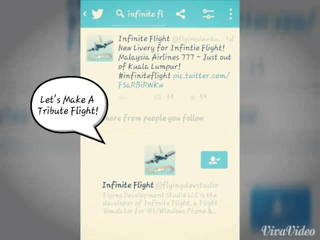 Video Dedicated To Infinite Flight Developers(FDS)