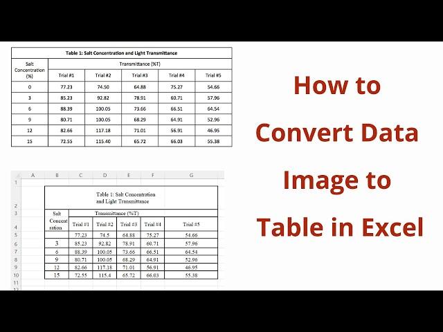 How to Convert Data Image to Excel Format