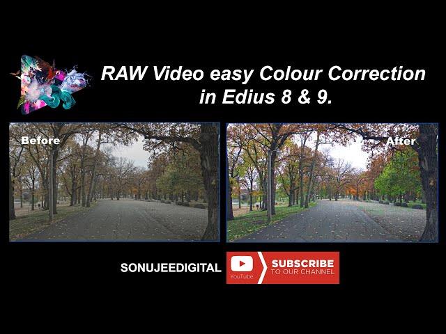 RAW video Colour Correction in Edius 8 & 9.