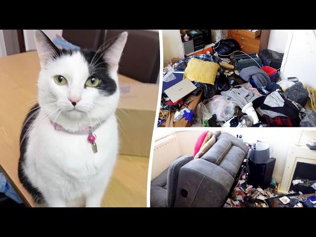 Cat survives for five weeks home alone in house after owner sent to prison | SWNS