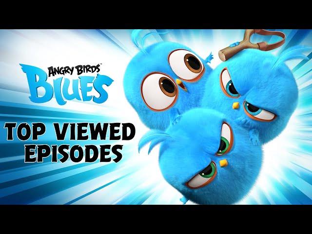 Angry Birds Blues | Top Viewed Episodes! 