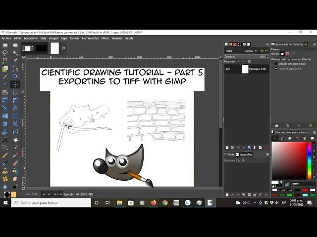 Clip Studio Paint Tutorial - Fifth Part - Exporting to .psd and .tiff with GIMP