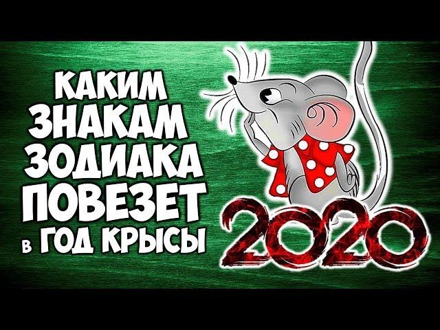 КАКИМ ЗНАКАМ ЗОДИАКА ПОВЕЗЕТ В 2020 ГОДУ. ГОРОСКОП УДАЧИ НА ГОД КРЫСЫ