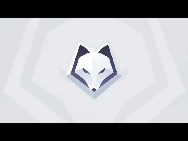 WINTERFOX Esport Official Intro | ESPORTS INTRO