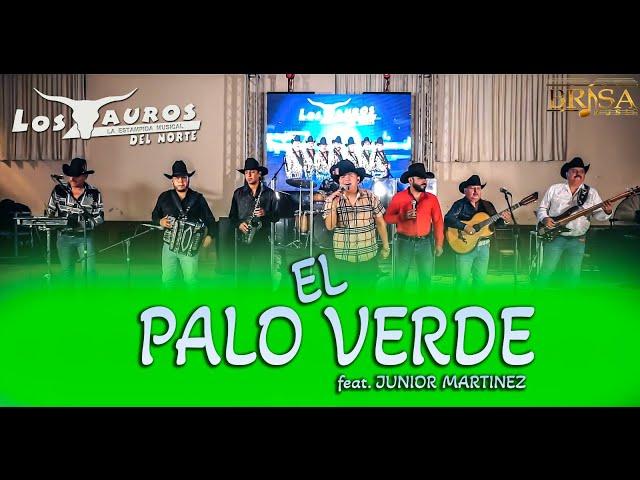 Los Tauros del Norte Ft. Junior Martinez - El Palo Verde