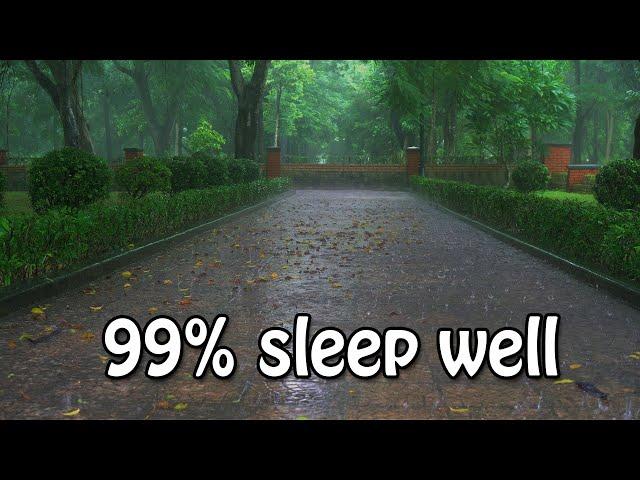 Sleep Well On A Rainy Day | Torrential Rain & Heavy Thunder Sounds In Park | Relief Stress, Insomnia