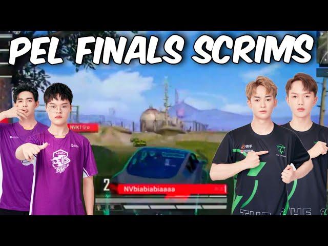 PEL S3 Grand Finals Scrims | Nova, TC, 4AM, WBG, LGD