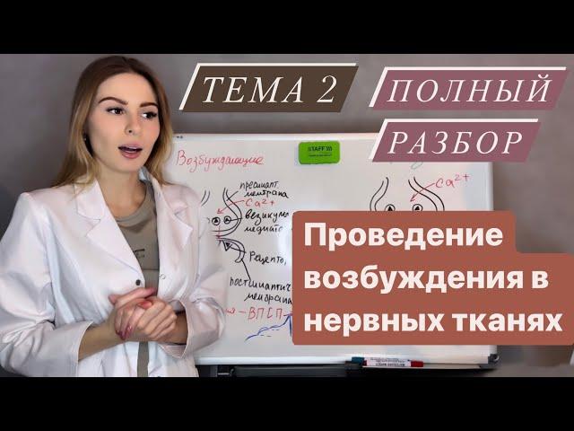 Физиология возбудимых тканей 2|Проведение возбуждения|Нервные волокна|Синапсы и медиаторы