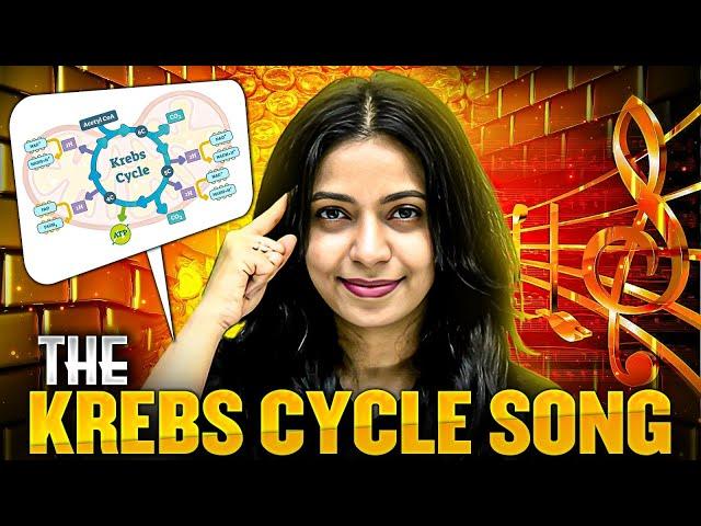 Learn Krebs Cycle like Never Before #pwenglish #krebscycle