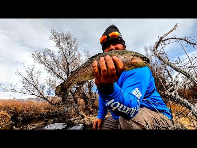 Wide Open Trout Fishing On The Owens River | Bishop California | #trout