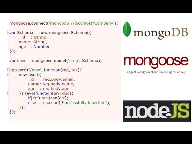 Inserting Data Into MongoDB: Node.js