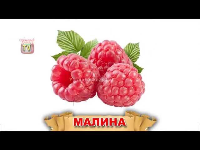 Изучаем слова. Ягоды. Обучающее видео для детей.