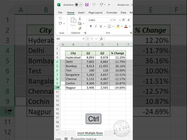 Excel Shortcut to Insert a New Row between every record #ExcelShorts