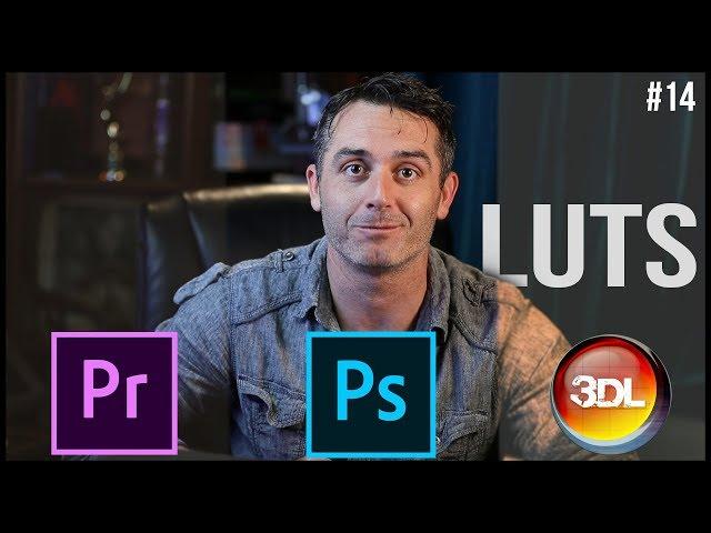 3 Ways to Create your Own VIDEO LUTS!